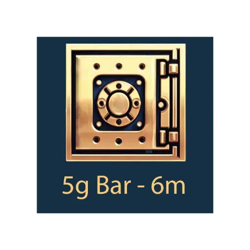 [5g_storage_6m] 金条托存保险库 6 个月（5 克）