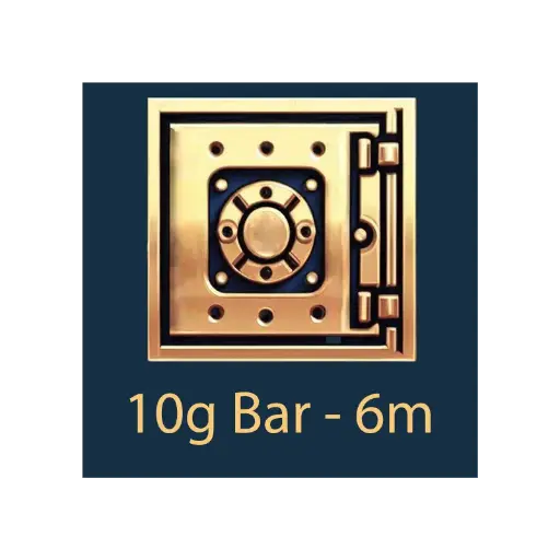 [20g_storage_6m] 20g Bar - Vault Storage - 6m